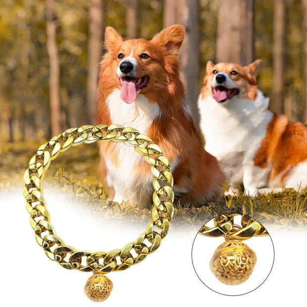 Golden Chain for Cat and Dog