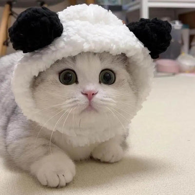 Adjustable Soft Cat Hat