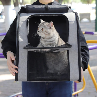 Breathable Cat Backpack