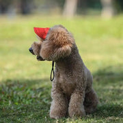 Pet Sunscreen Baseball Cap