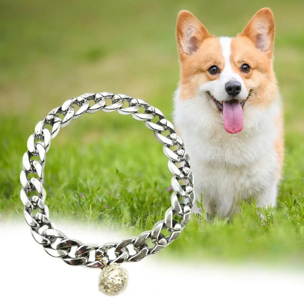 Golden Chain for Cat and Dog