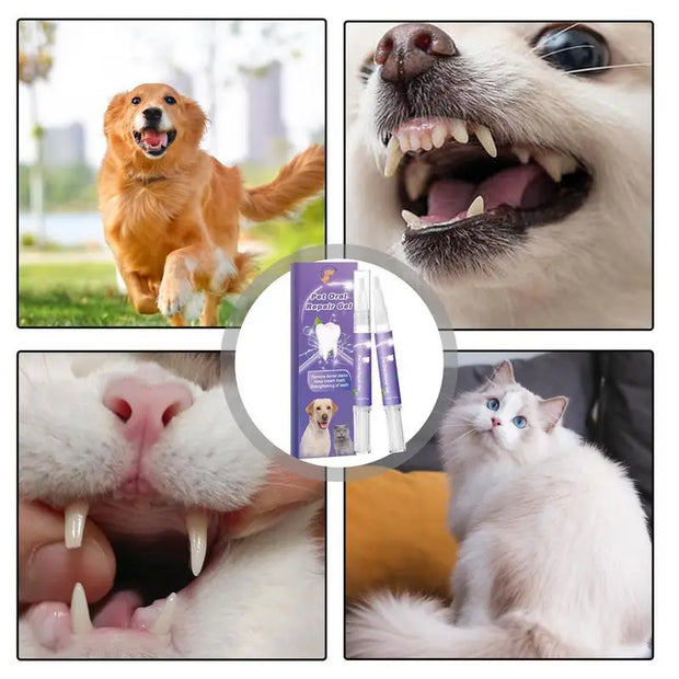 Pet Oral Repair Gel