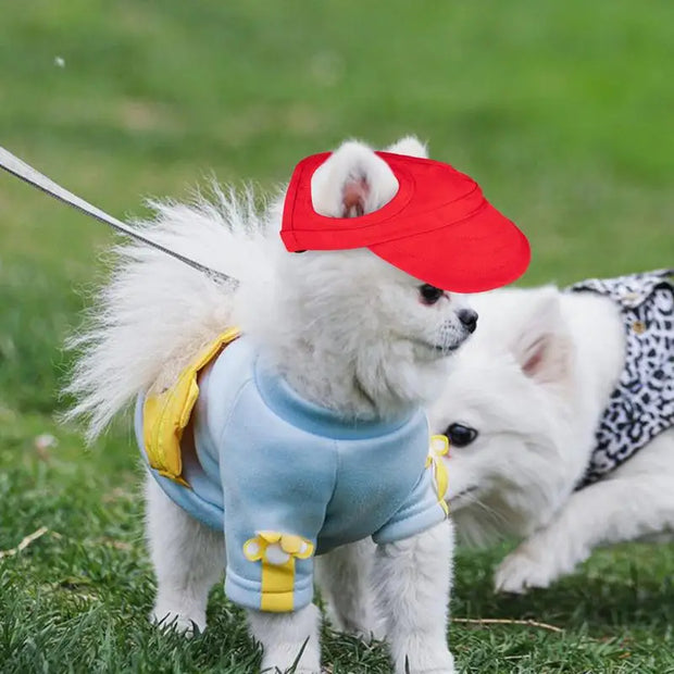 Pet Sunscreen Baseball Cap