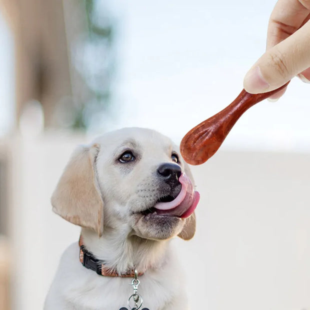 Dog Molar Tooth Feed