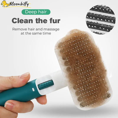 Hair Removal and Cleaning Brush