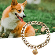 Golden Chain for Cat and Dog