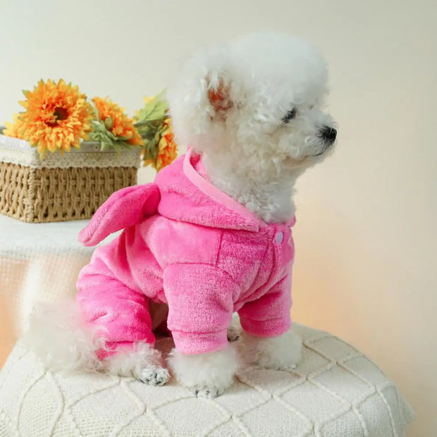 Winter Costume for Small to Medium Dogs