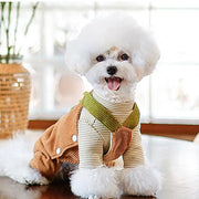 Warm Winter Wear for Pets