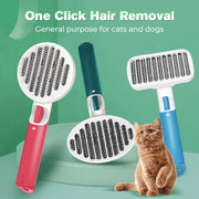 Hair Removal and Cleaning Brush