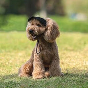 Sun-proof Dog Baseball Cap