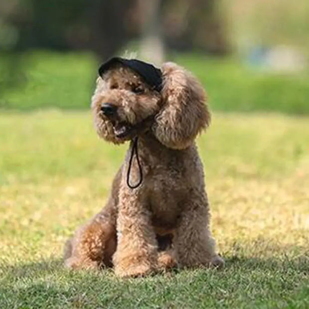 Sun-proof Dog Baseball Cap