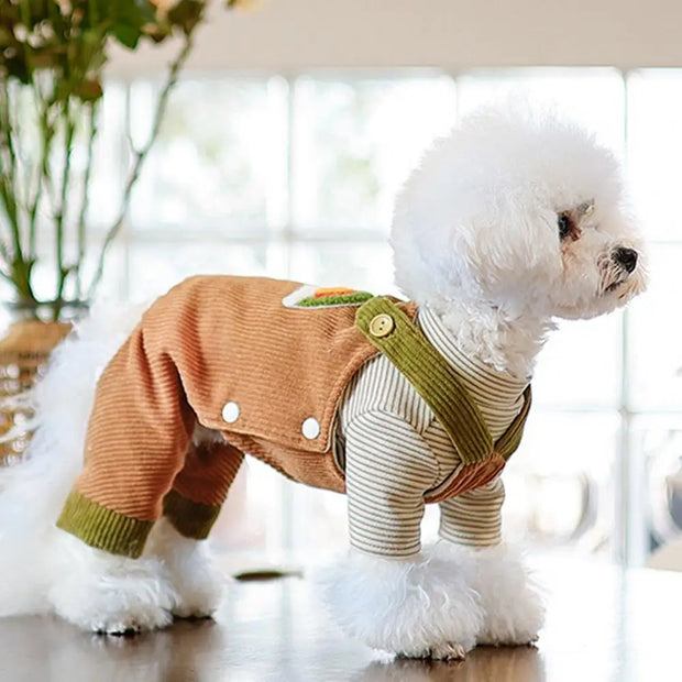 Warm Winter Wear for Pets