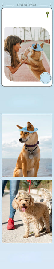 Pet Baseball Cap -  Sun-proof