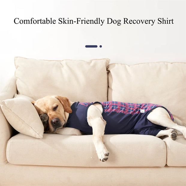 Dog Recovery Suit